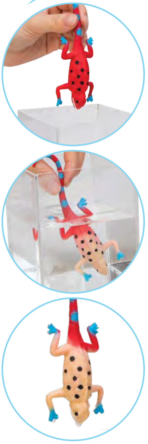 Color Changing Revealeons Chameleons by Schylling 2