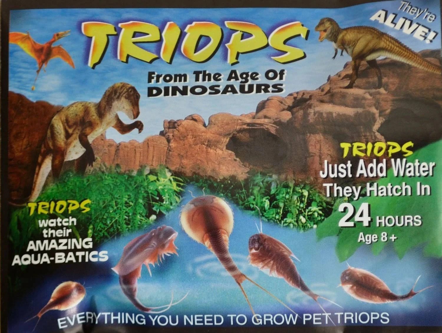 Countertop Triops by Toyops