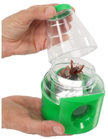 Creature Peeper by Insect Lore 3