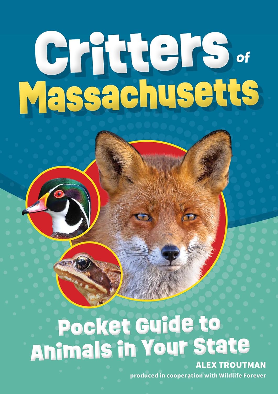 Critters of Massachusetts Pocket Guide-by-Adventure Publications