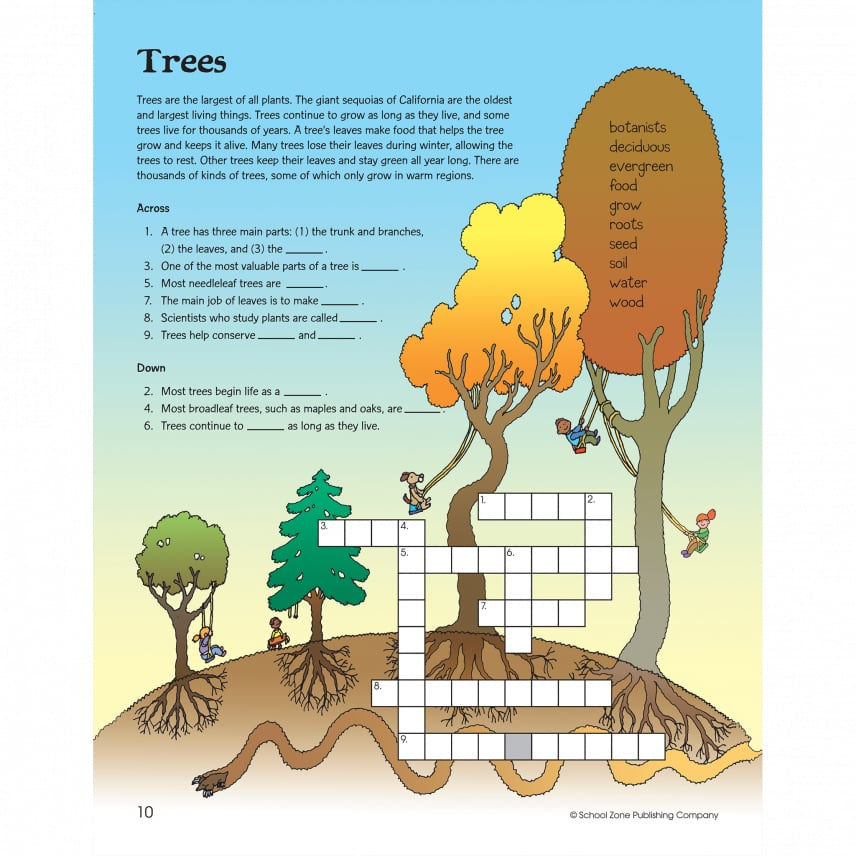 Crosswords Activity Workbook by School Zone 1