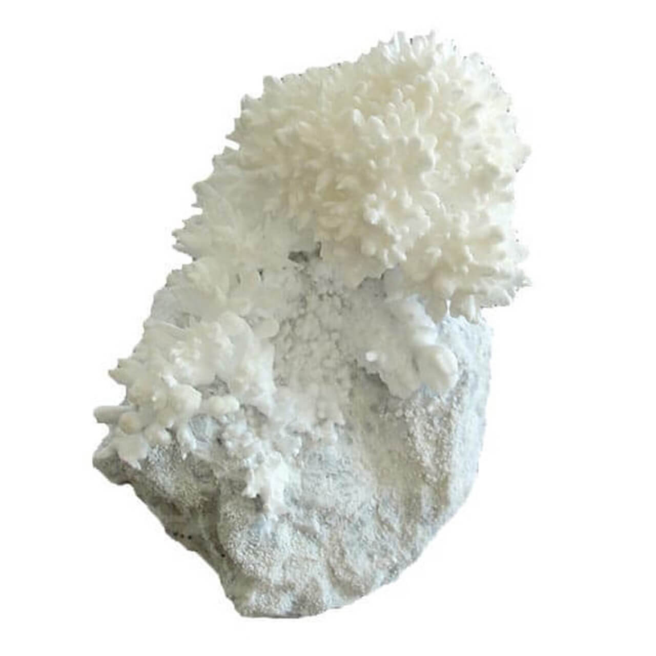 Crystal Growing Rock by Copernicus 2