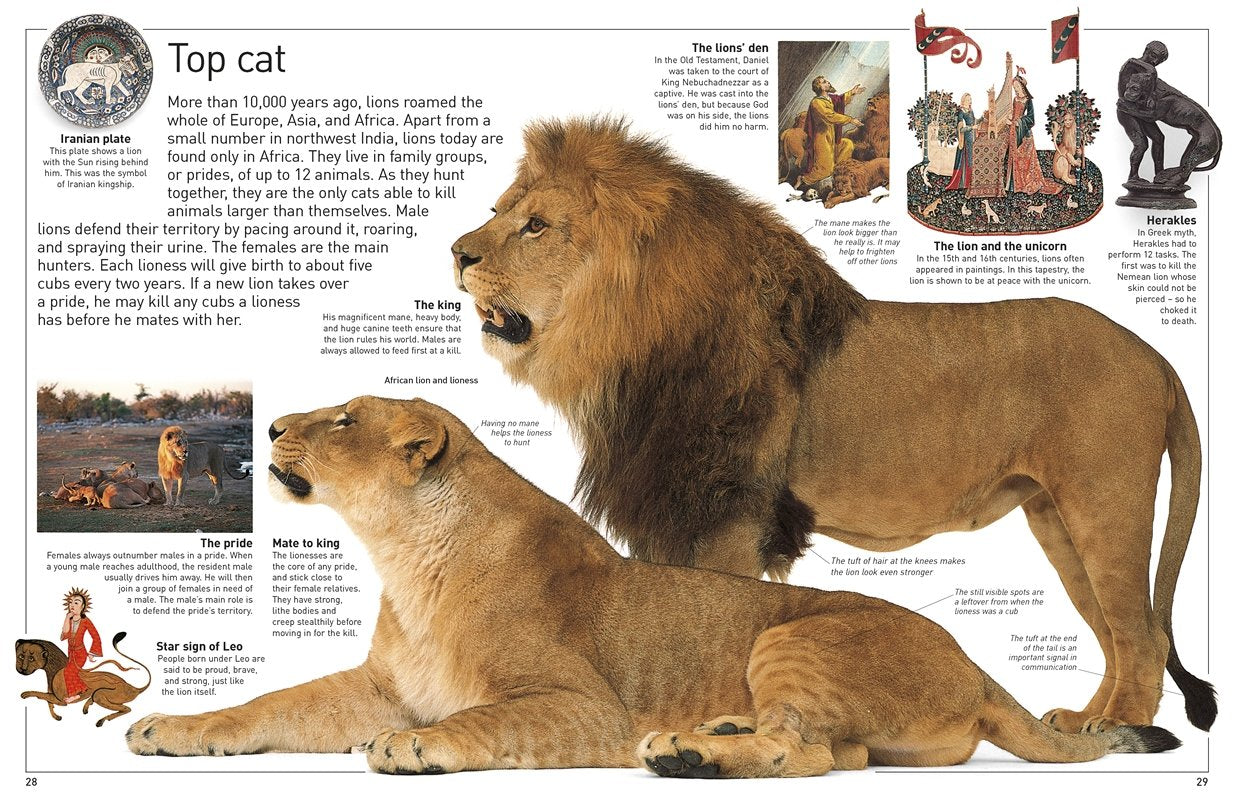 DK Eyewitness Books Cat by Dorling Kindersley 2