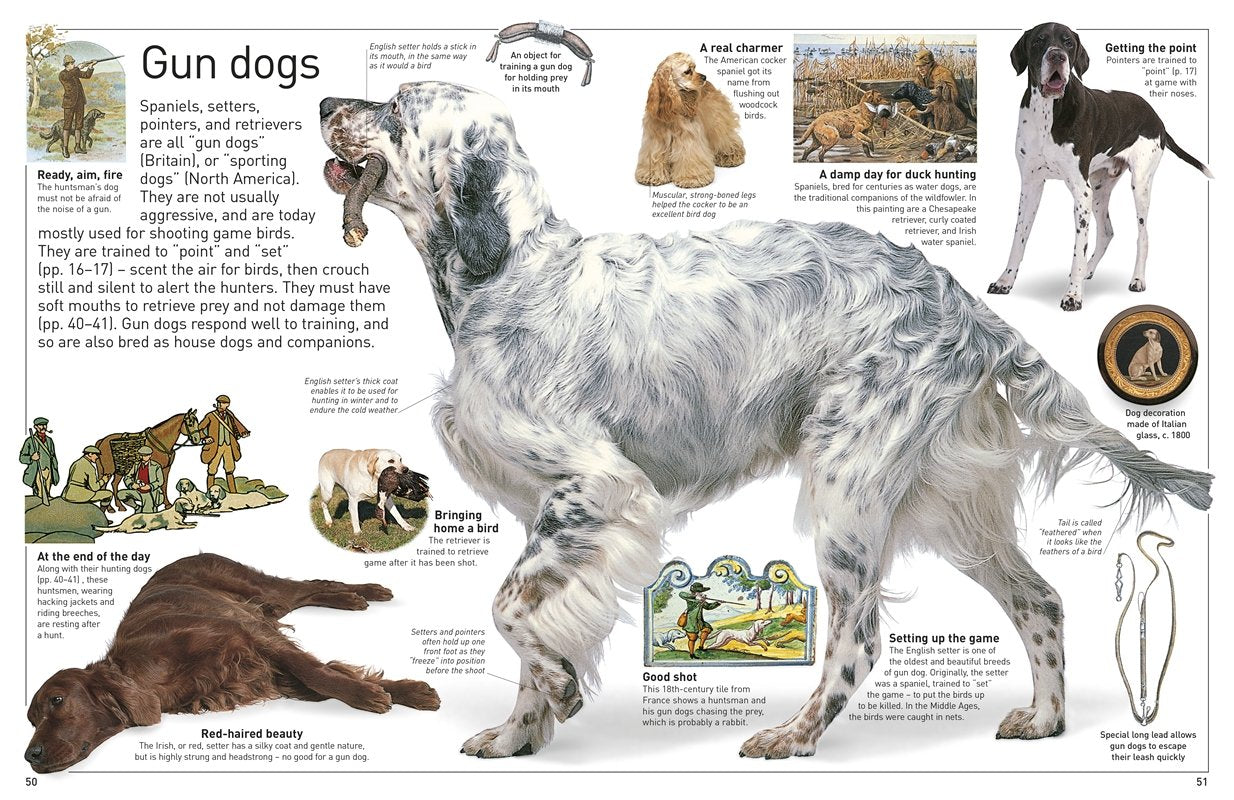 DK Eyewitness Books Dog by Dorling Kindersley 3