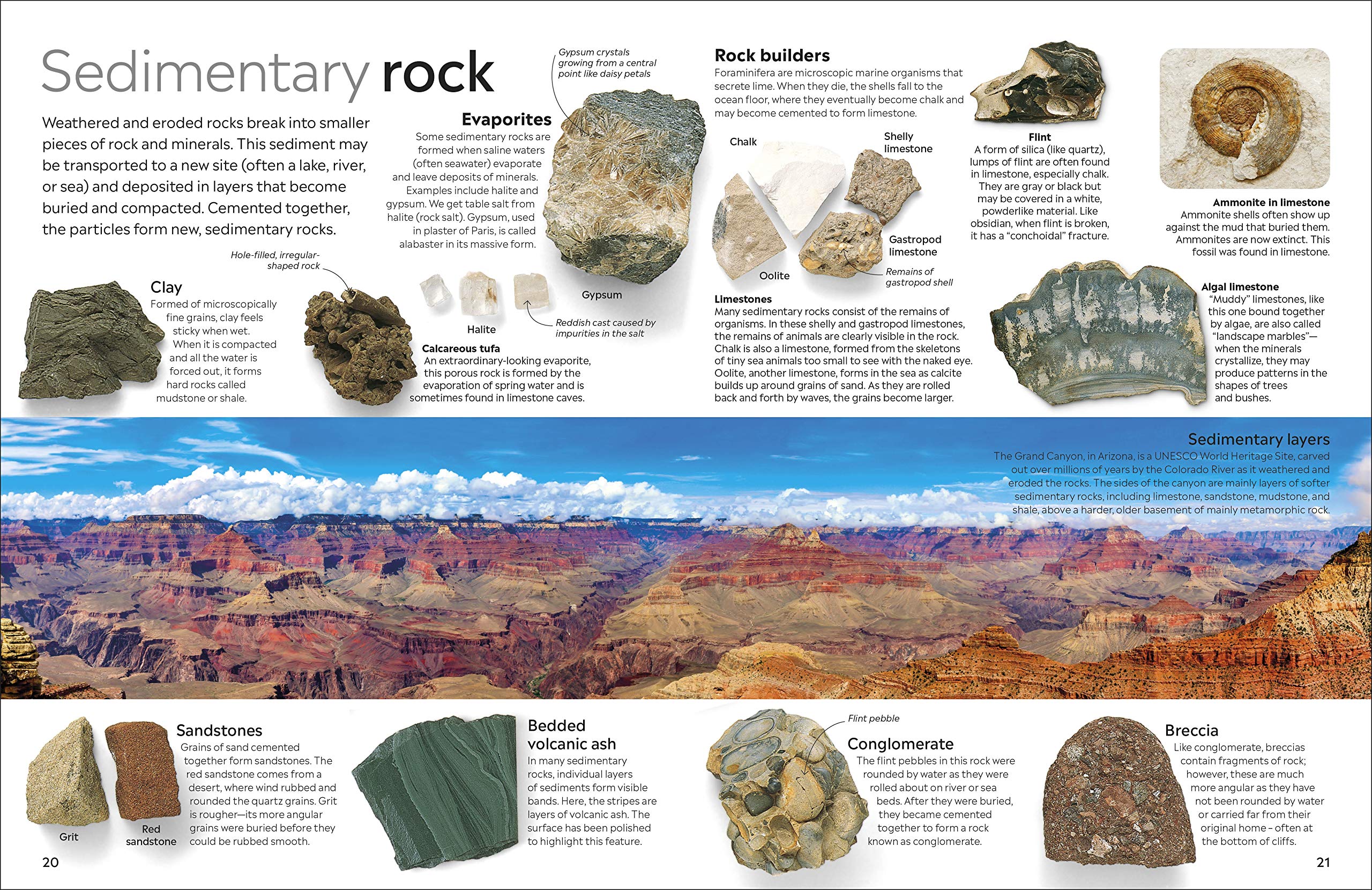 DK Eyewitness Books Rocks and Minerals by Dorling Kindersley 3