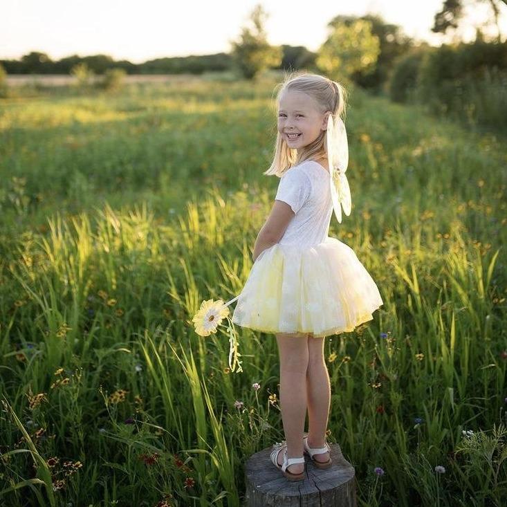 Daisy Tutu Wings and Wand Set by Great Pretenders 1