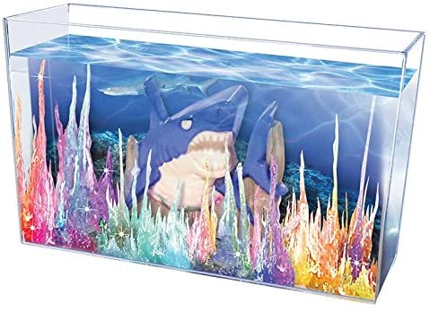 Deluxe Magic Rocks by Toysmith 2