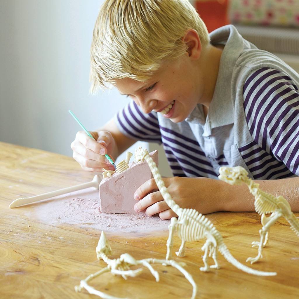 Dig A Dino Series 2 by Toysmith 3