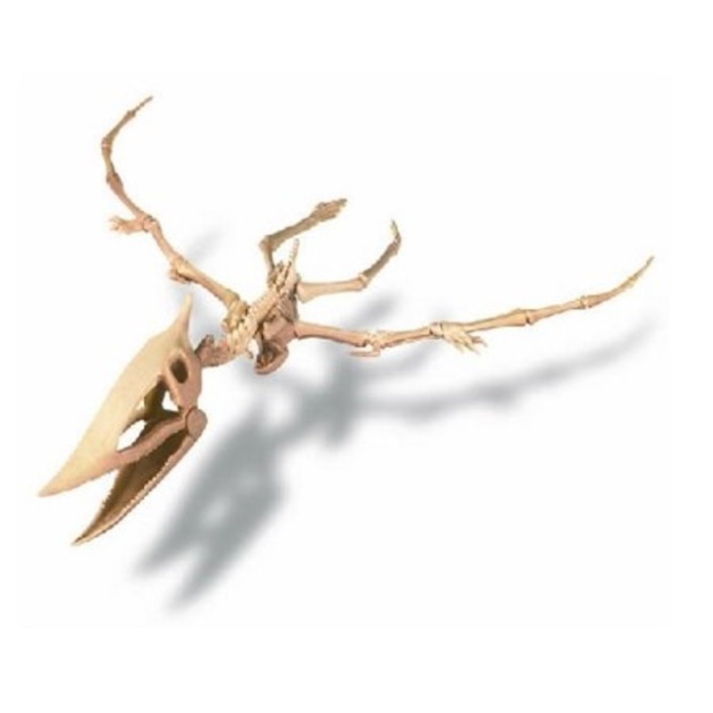 Dig A Dino Series 2 by Toysmith 4