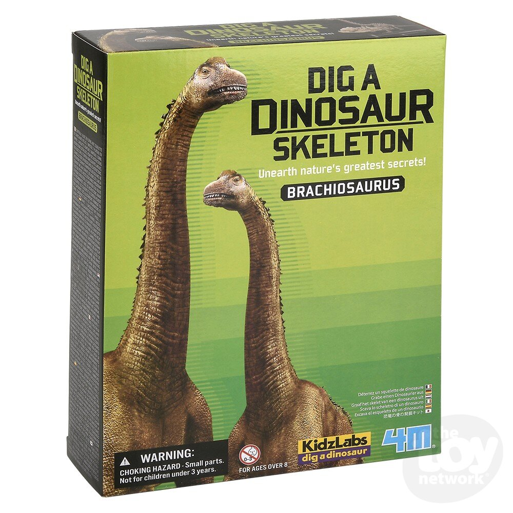 Dig A Dino Skeleton - Brachiosaurus-by-The Toy Network
