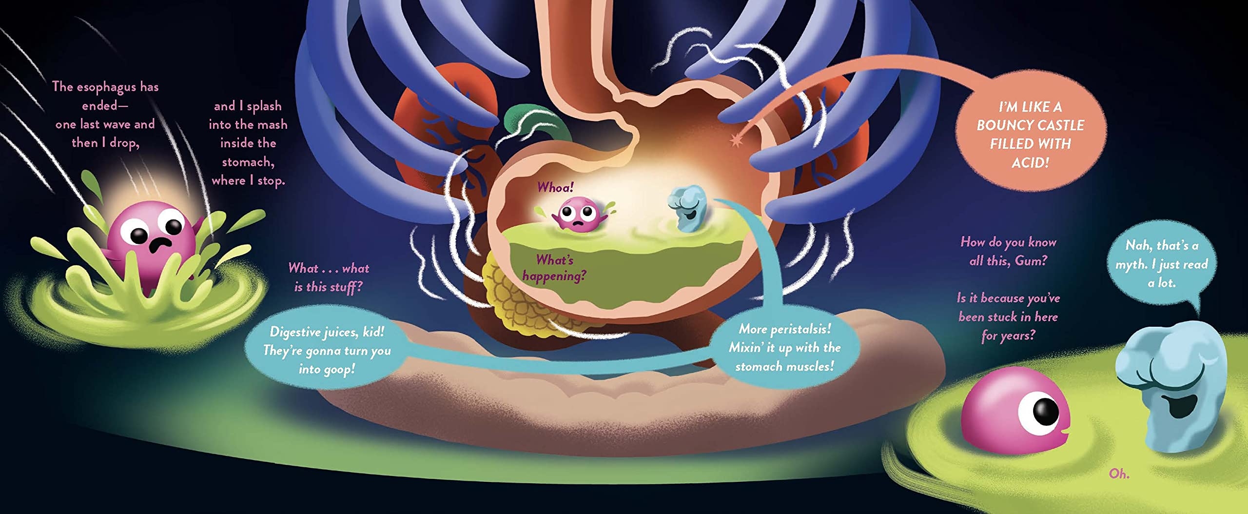 Digestion The Musical by Chronicle Books 5