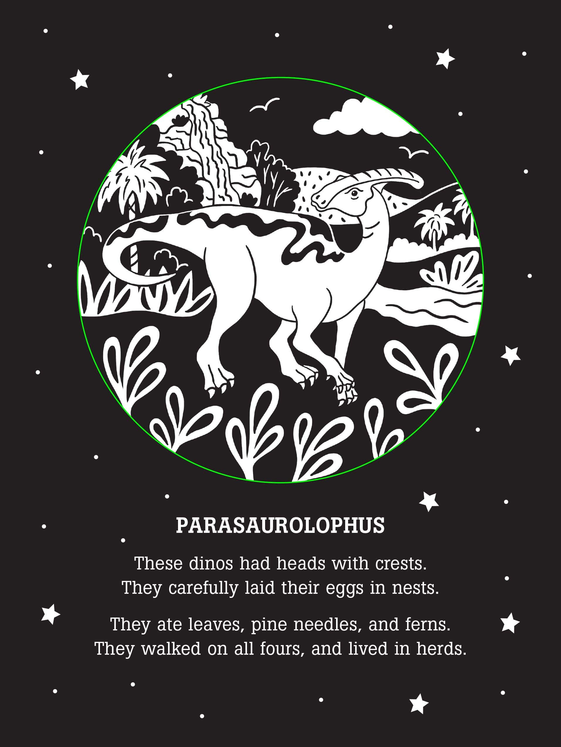 Dinos After Dark Bedtime Shadow Book by Peter Pauper Press 2