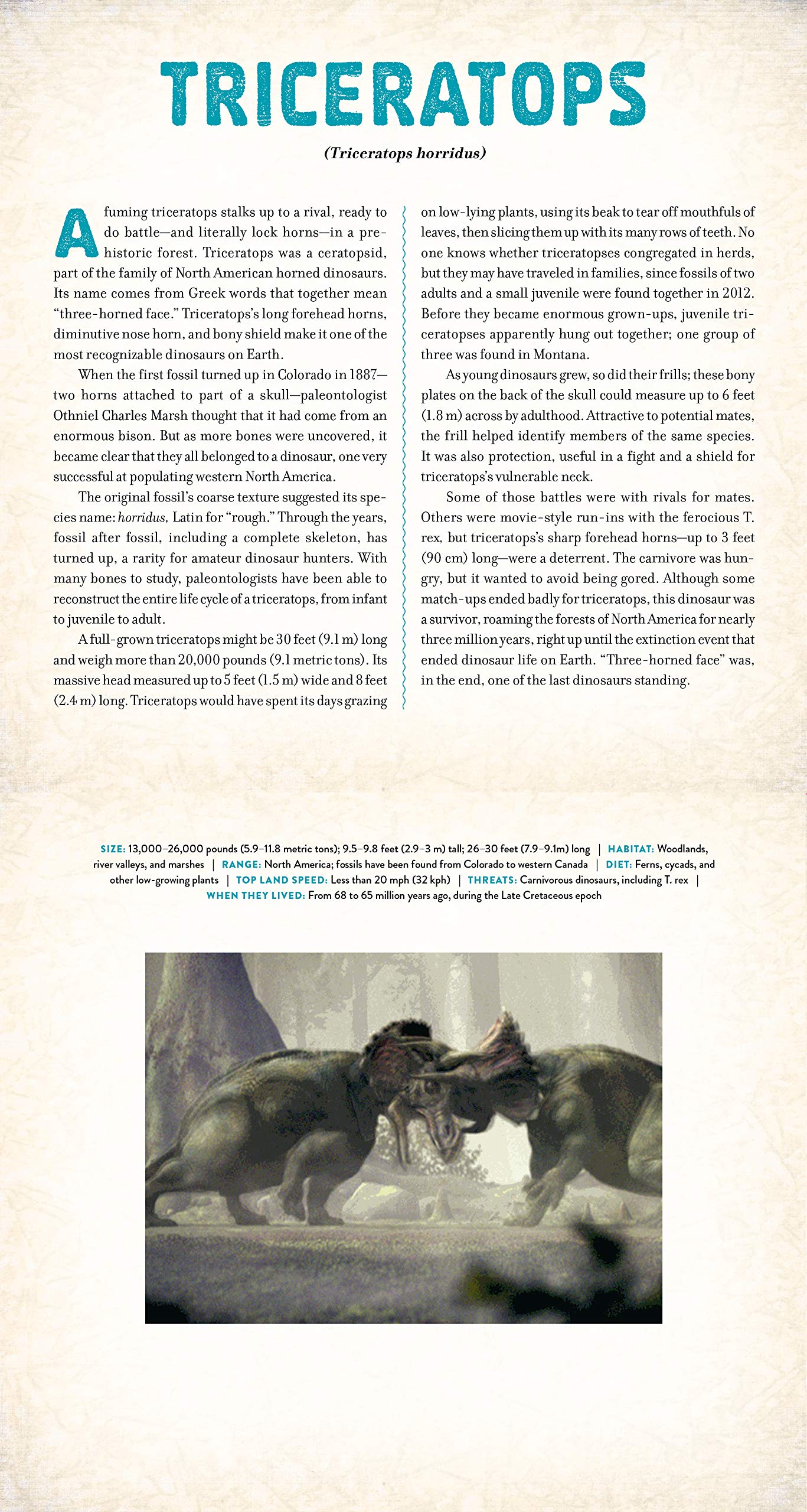 Dinosaur A Photicular Book by Workman 3