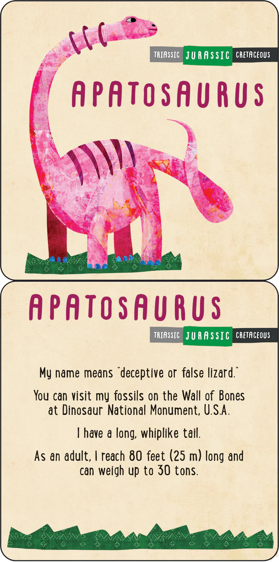 Dinosaurs Fascinating Lunch Box Notes for Kids Set of 50 Cards by Peter Pauper Press 4