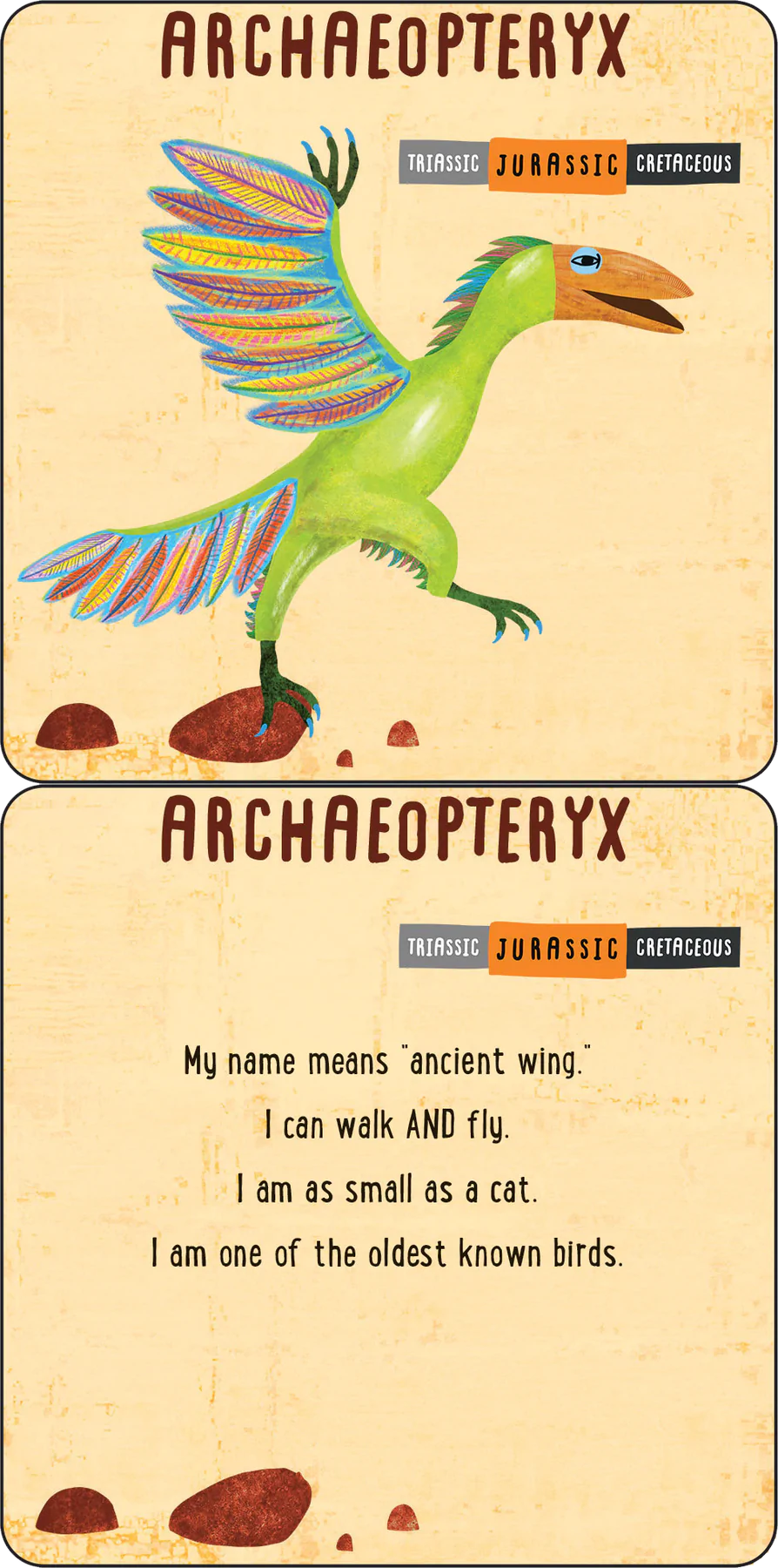 Dinosaurs Fascinating Lunch Box Notes for Kids Set of 50 Cards by Peter Pauper Press 5