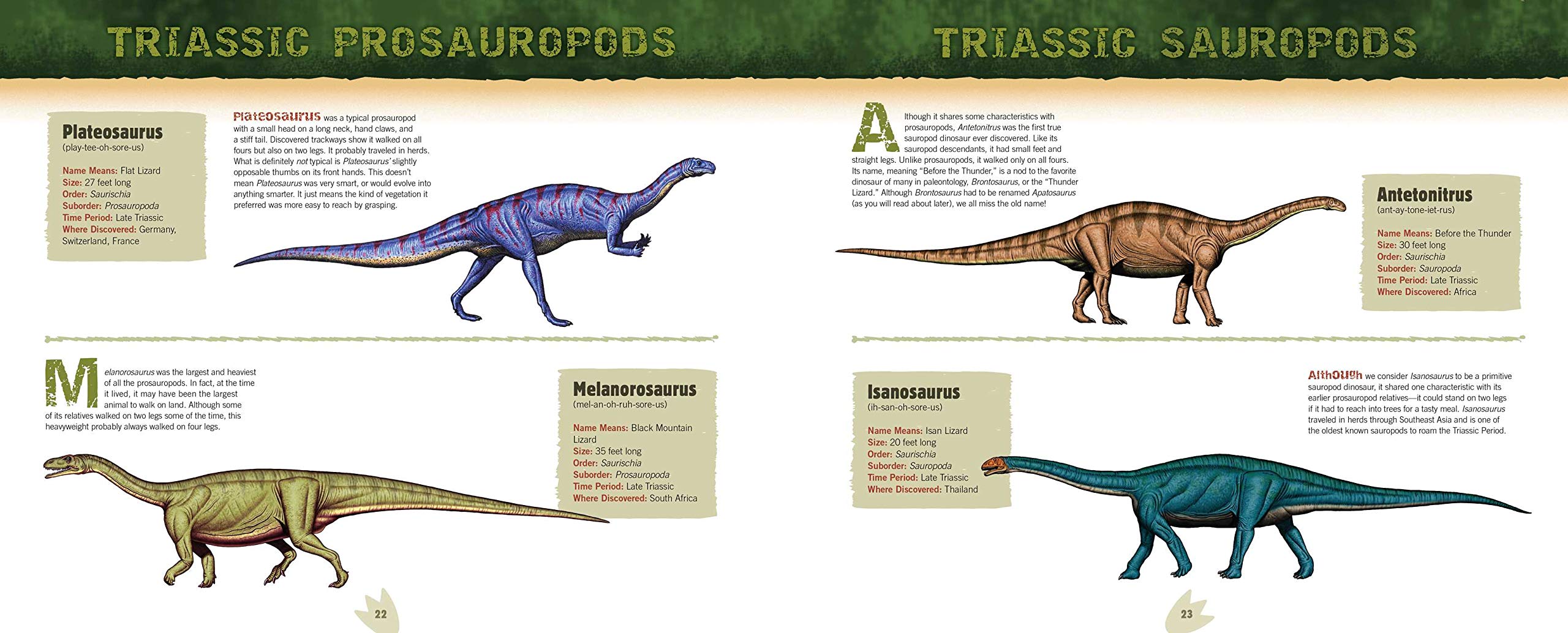 Discovering Dinosaurs by Harry Abrams 3