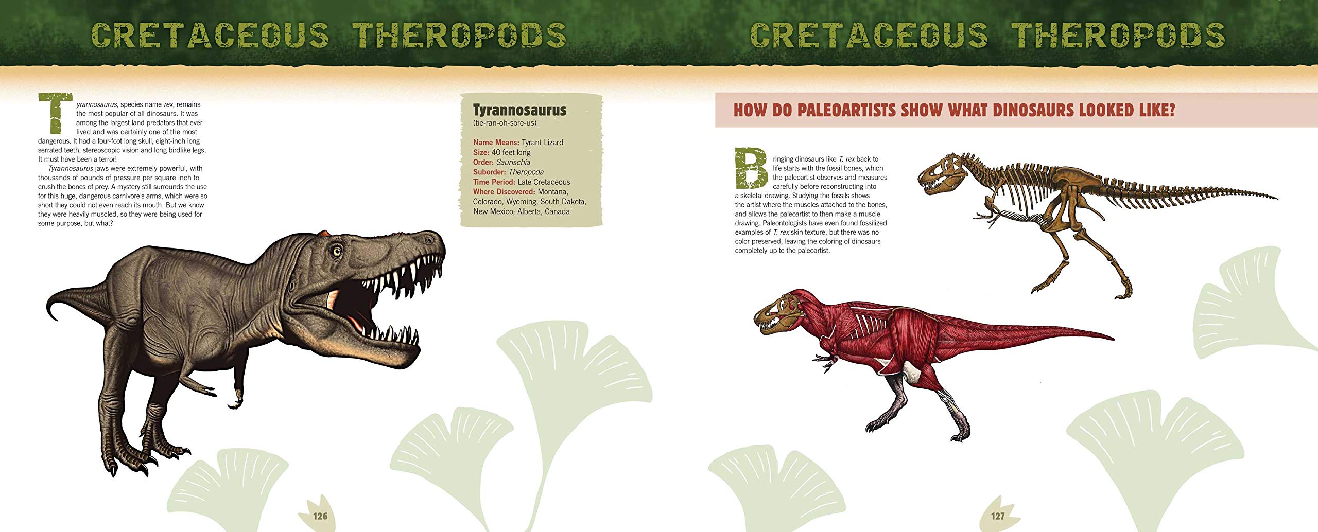Discovering Dinosaurs by Harry Abrams 6