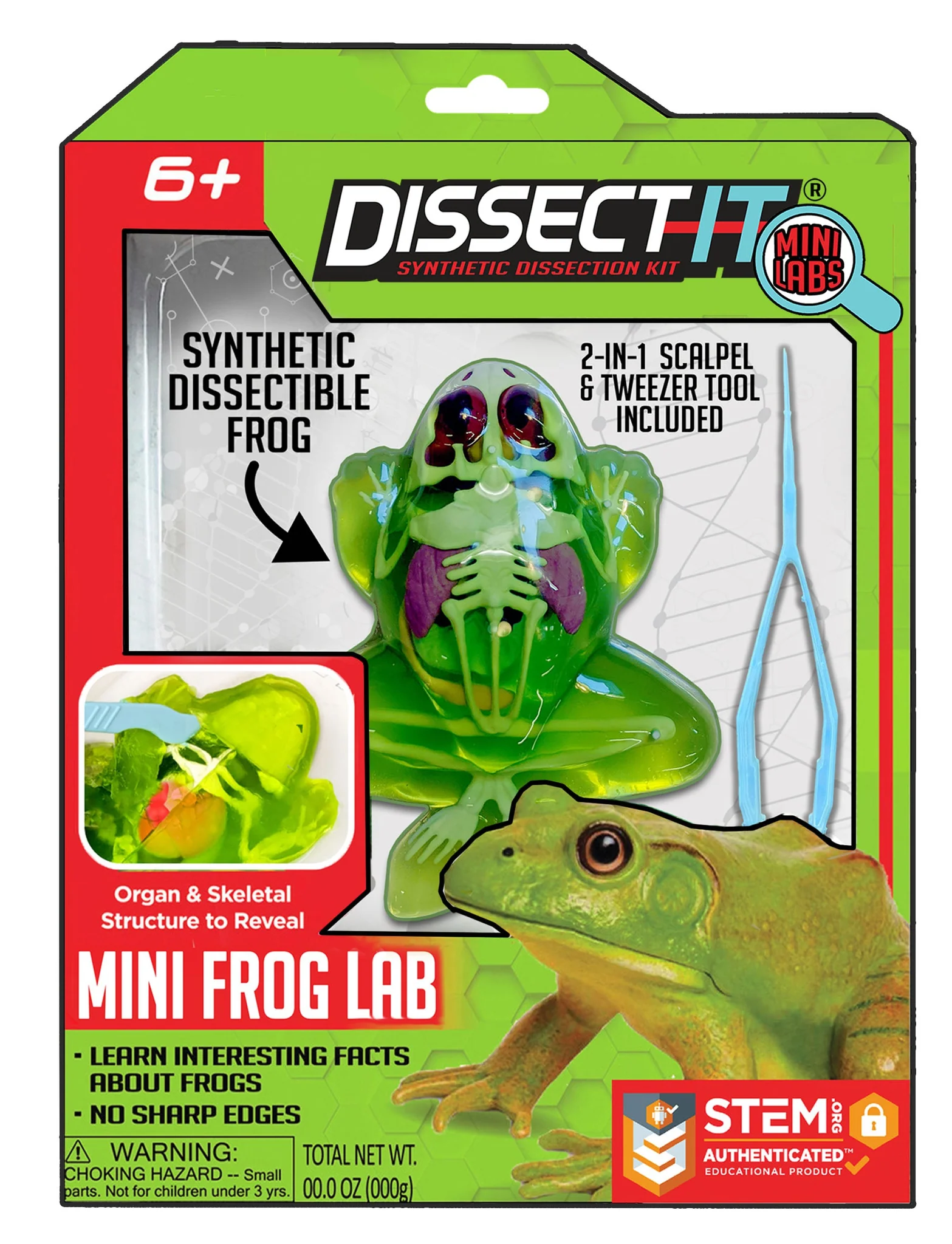 Dissect It Mini Lab - Frog-by-Top Secret Toys