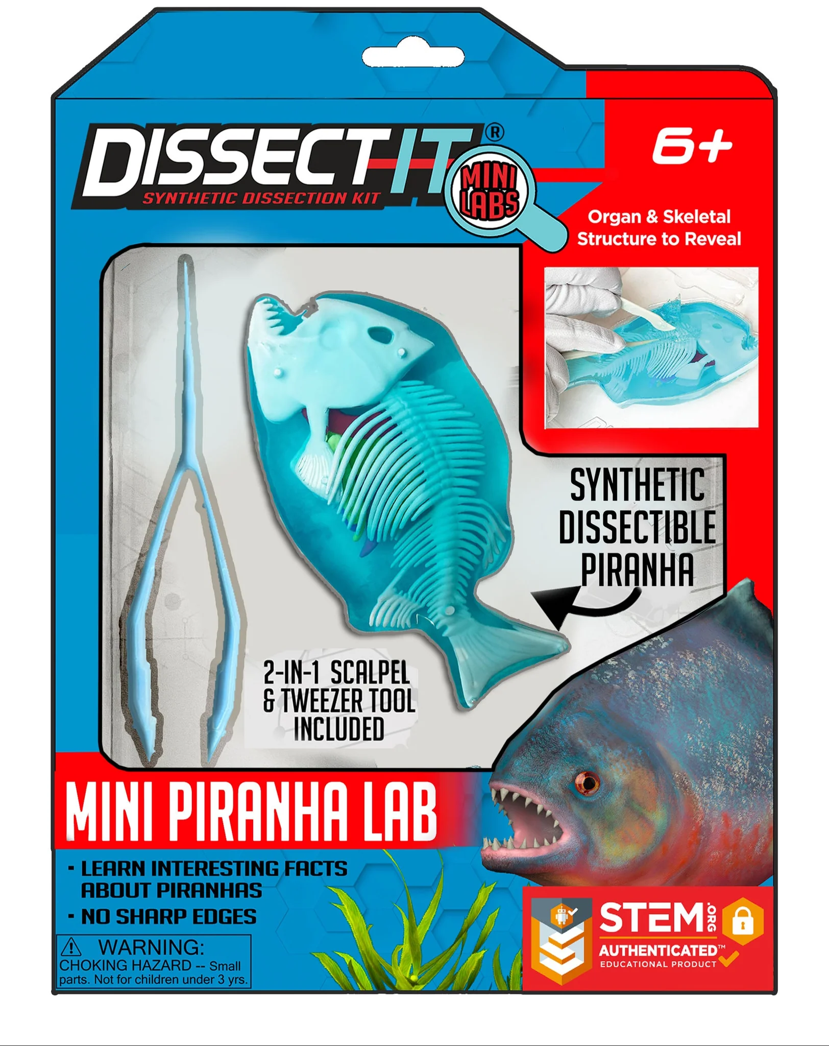 Dissect It Mini Lab - Piranha-by-Top Secret Toys