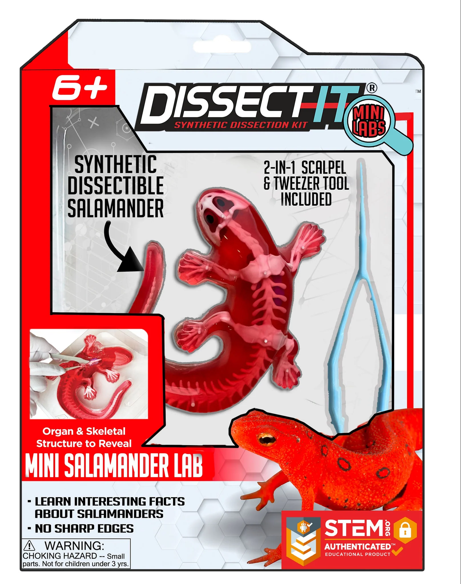 Dissect It Mini Lab - Salamander-by-Top Secret Toys