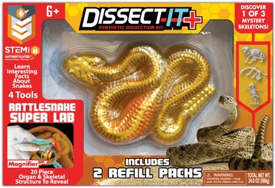 Dissect It Super Lab - Rattlesnake-by-Tangle Creations