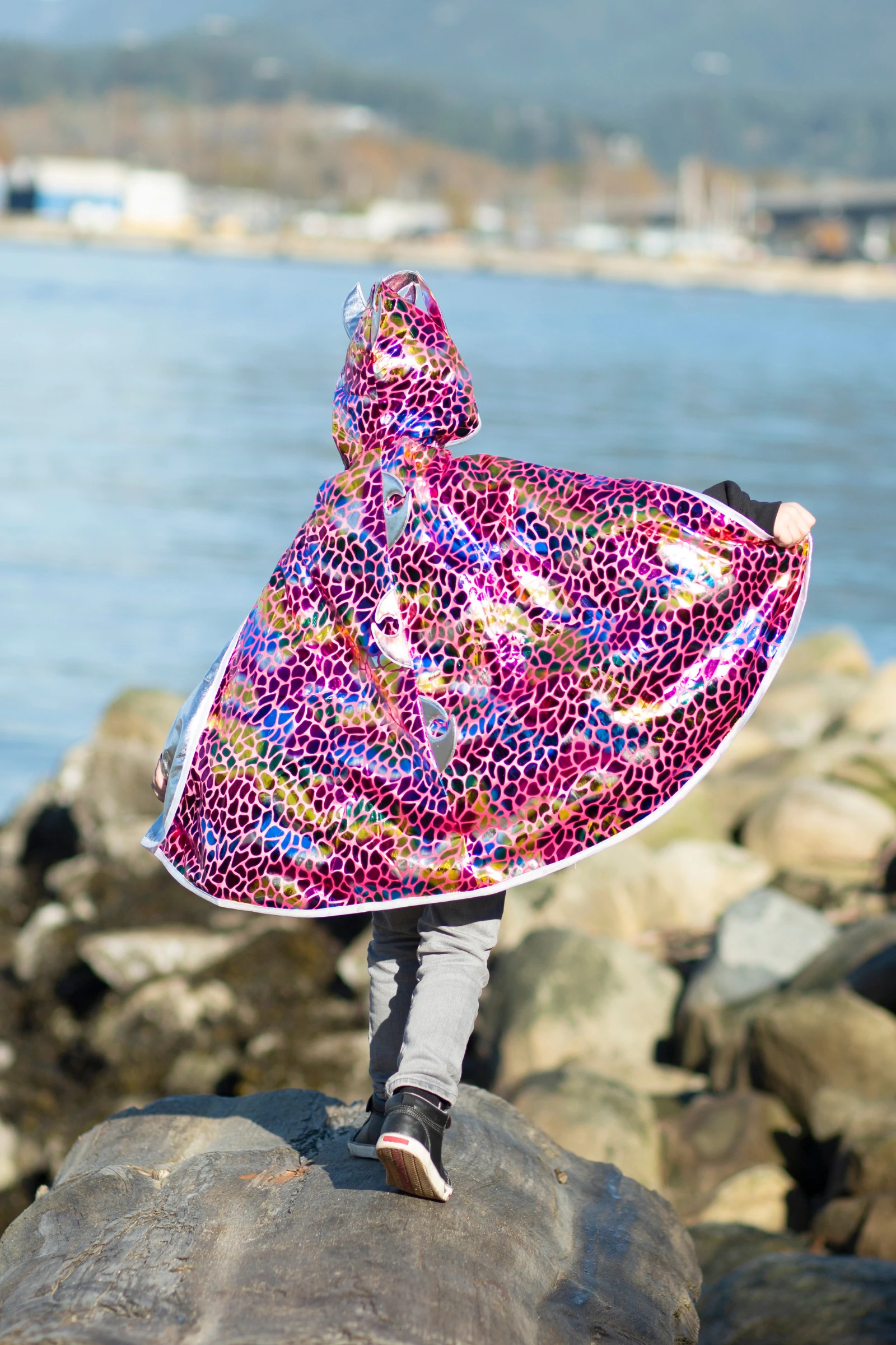 Dragon Knight Reversible Cape by Great Pretenders 1