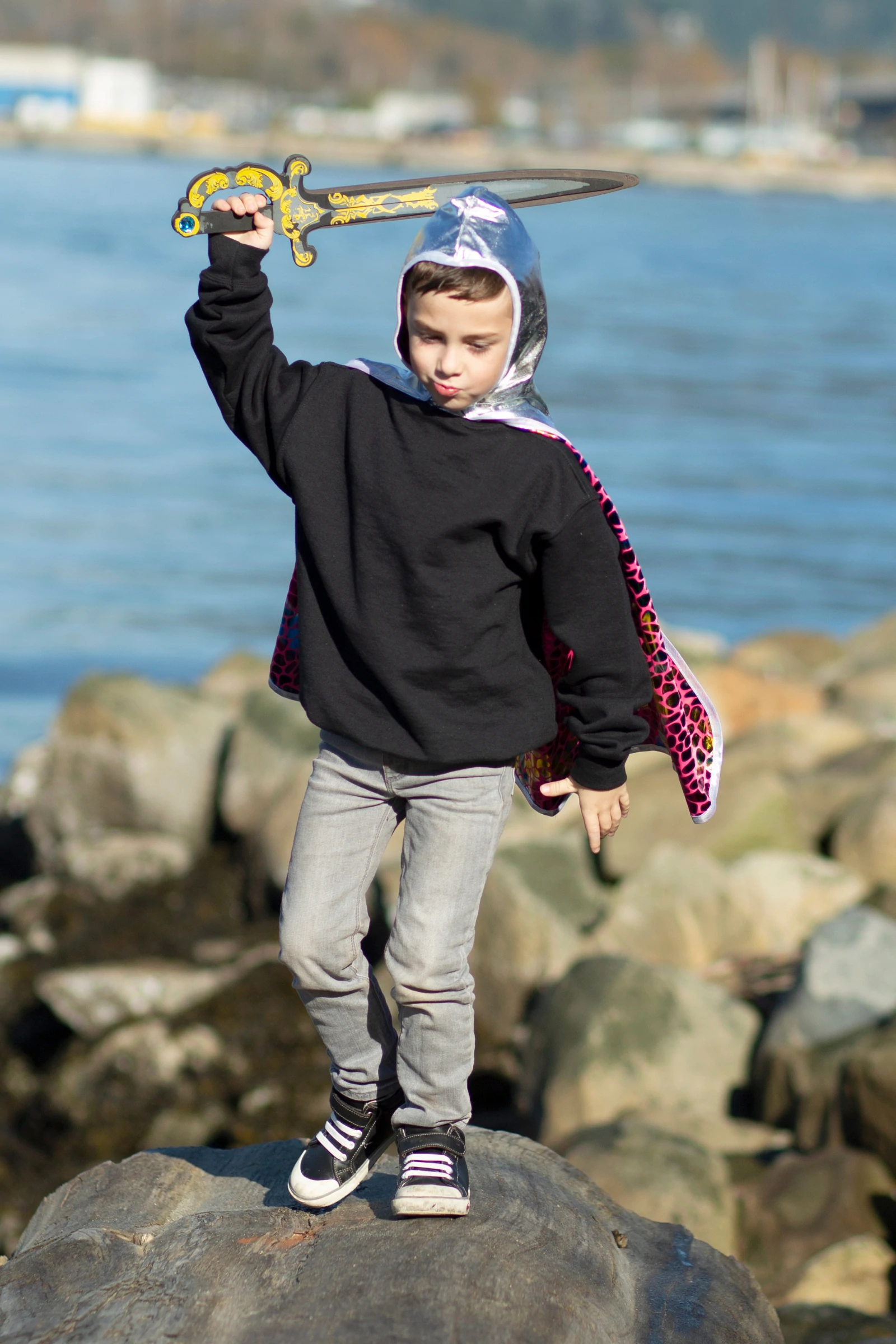 Dragon Knight Reversible Cape by Great Pretenders 2