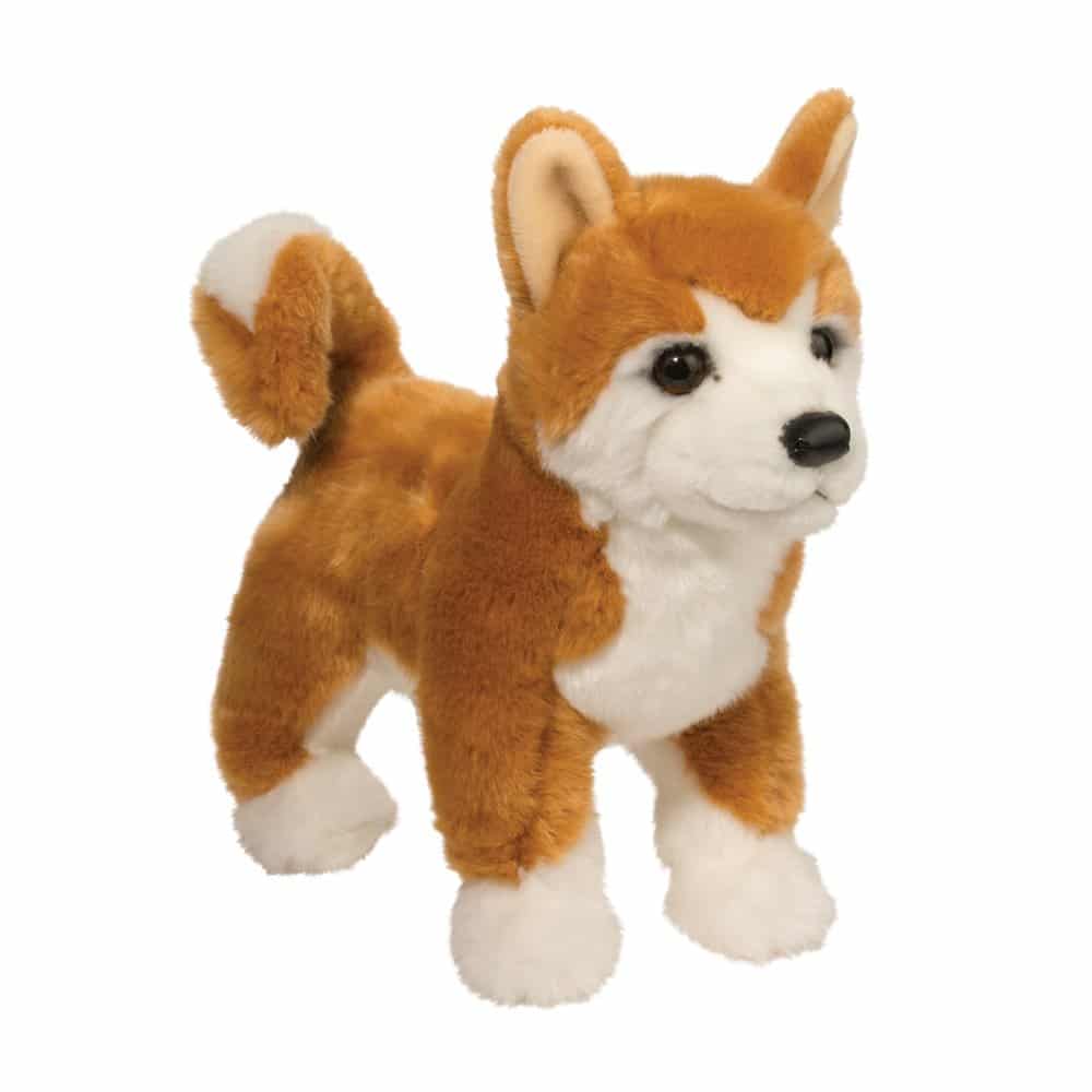 Dunham Shiba Inu 16 by Douglas