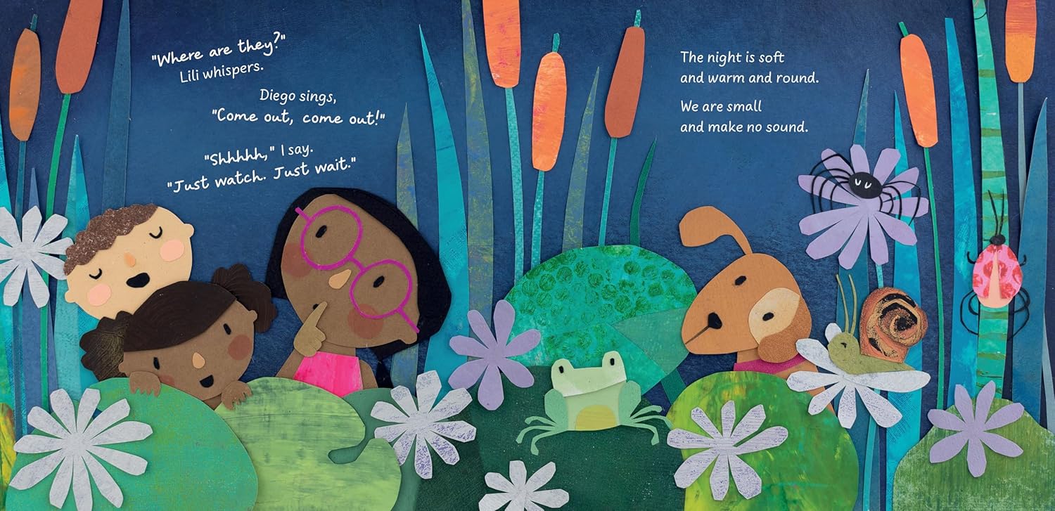 Firefly Galaxy by Barefoot Books