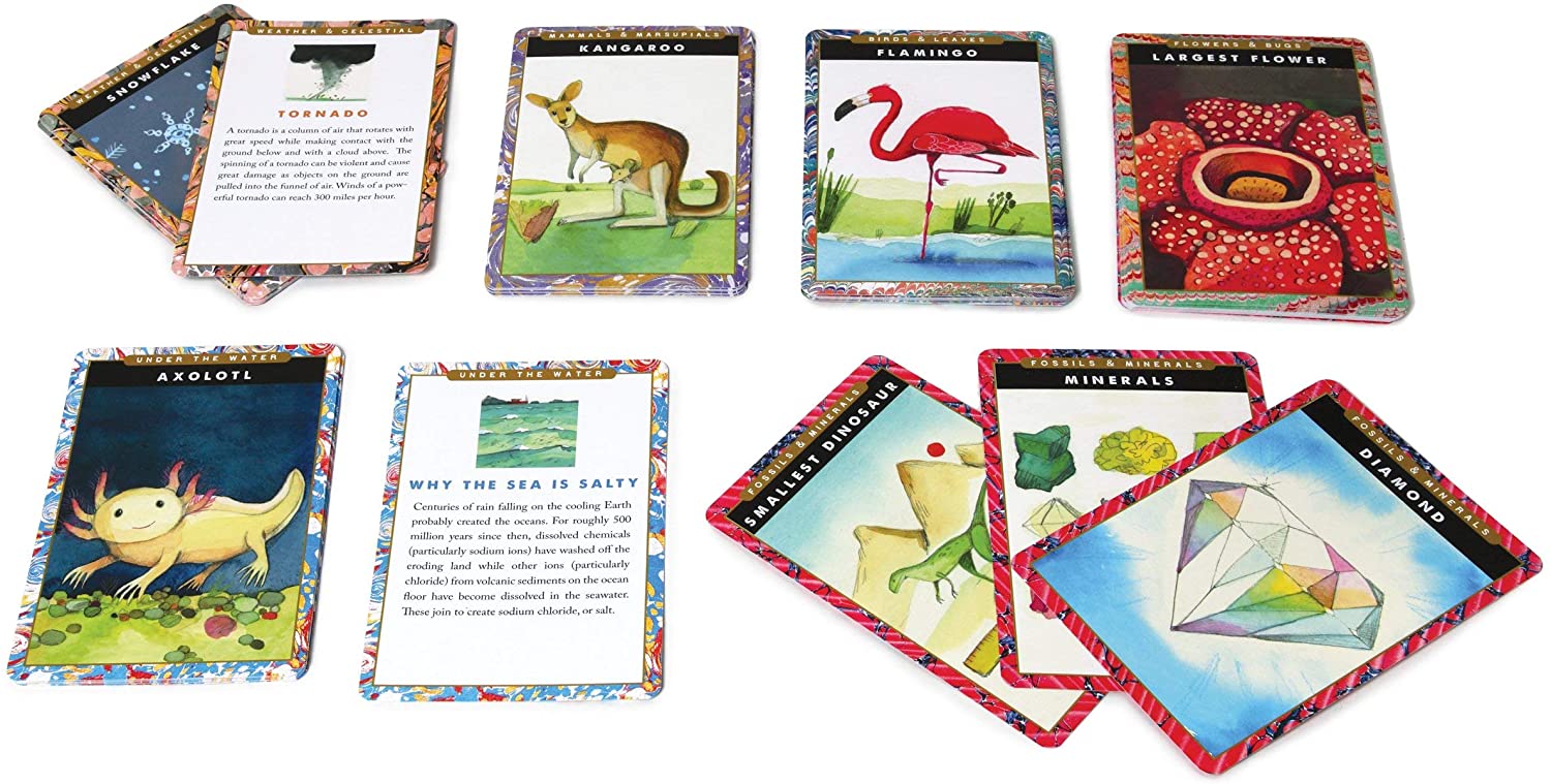 Earth Science Flash Cards by eeBoo 3