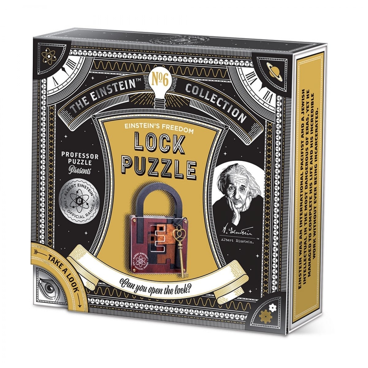 Einstein Collection Lock Puzzle by Professor Puzzle
