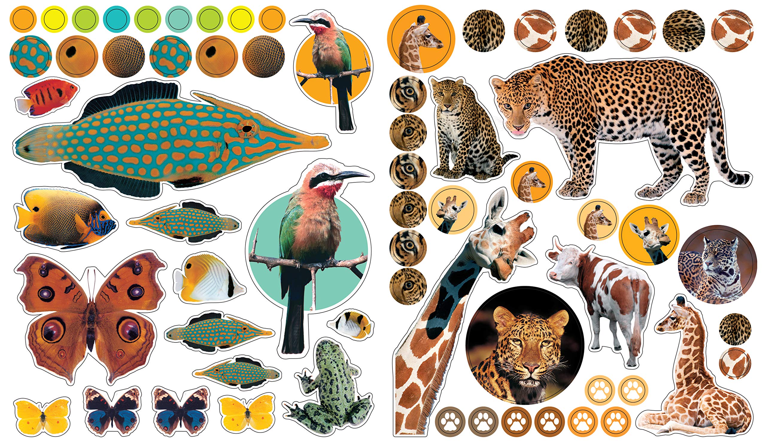 Eyelike Stickers Animals by Workman Publishing 3