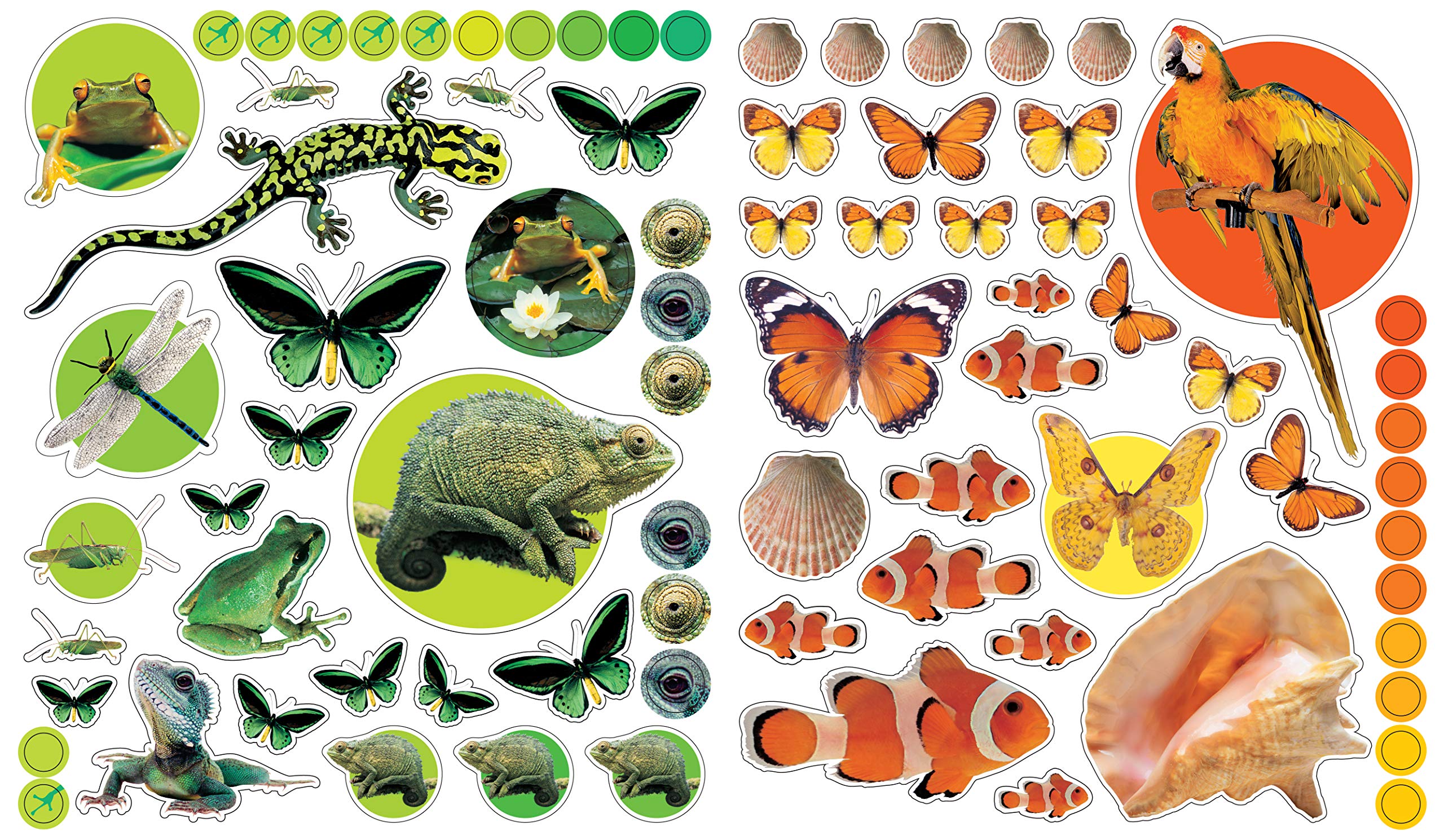 Eyelike Stickers Animals by Workman Publishing 4