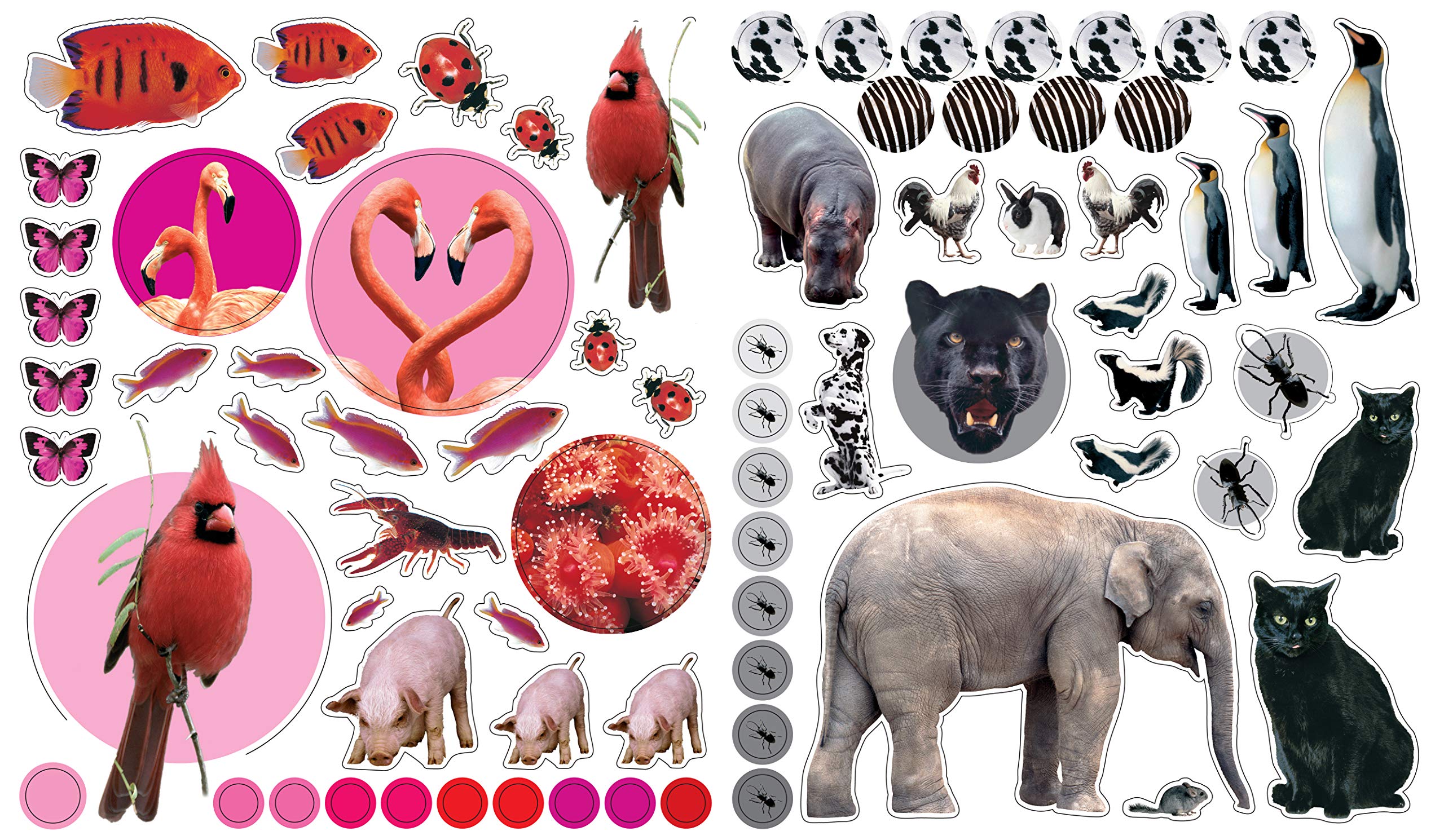 Eyelike Stickers Animals by Workman Publishing 5