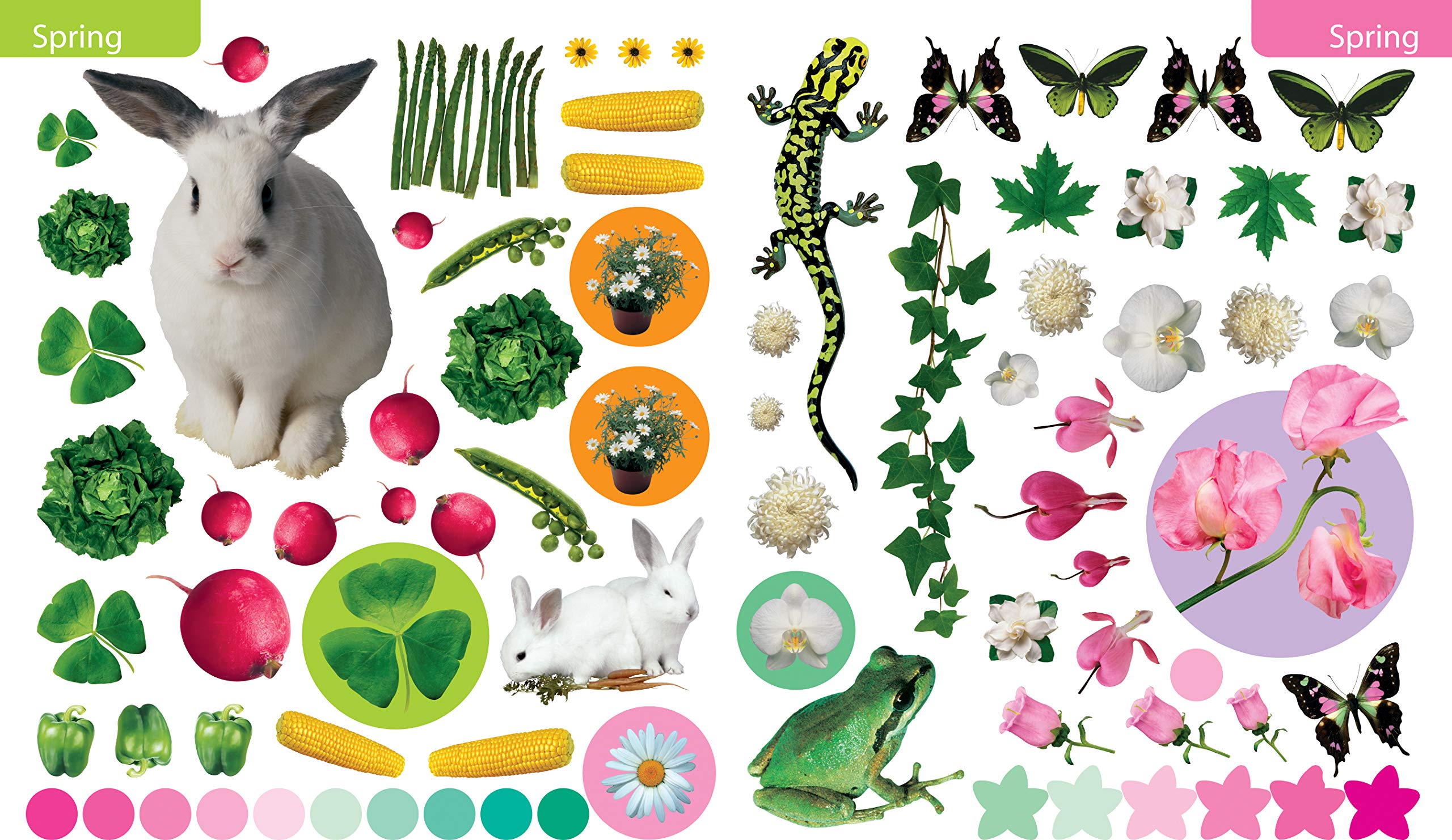 Eyelike Stickers Seasons by Workman 1