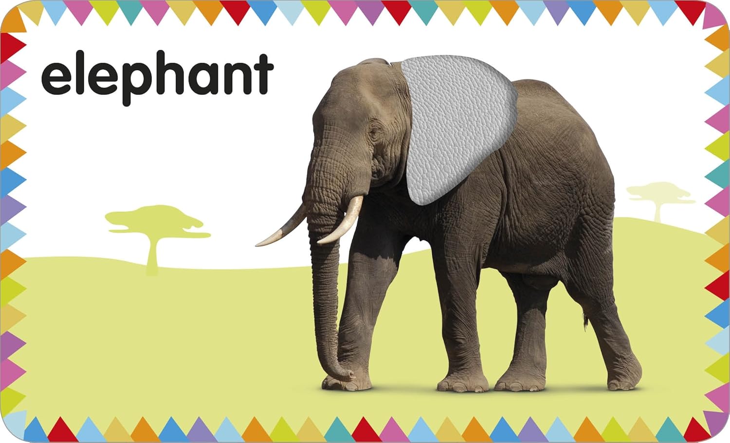 My First Touch and Feel Picture Cards: Animals by DK Publishing