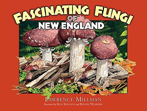 Fascinating Fungi of New England by Adventure Publications