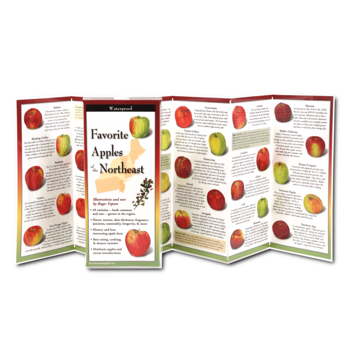 Favorite Apples of the Northeast Folding Guide by Earth Sky Water 1
