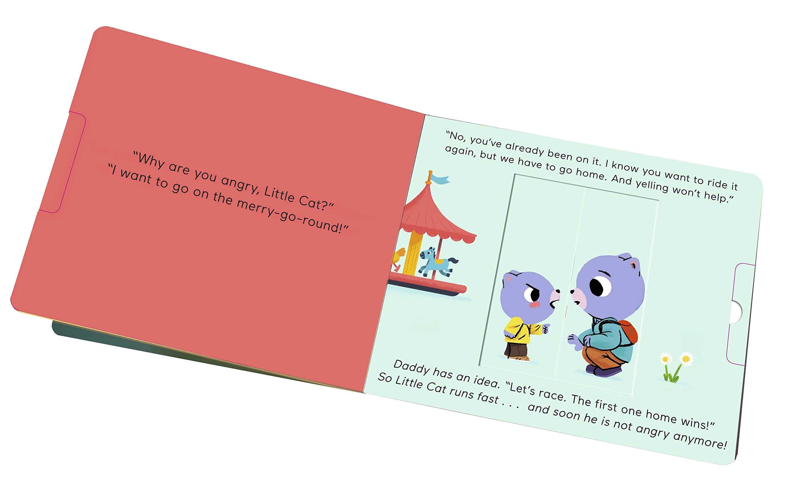 Feelings by Chronicle Books 3