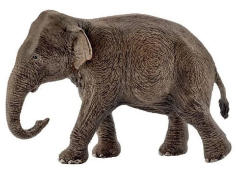Female Asian Elephant Figure by Schliech