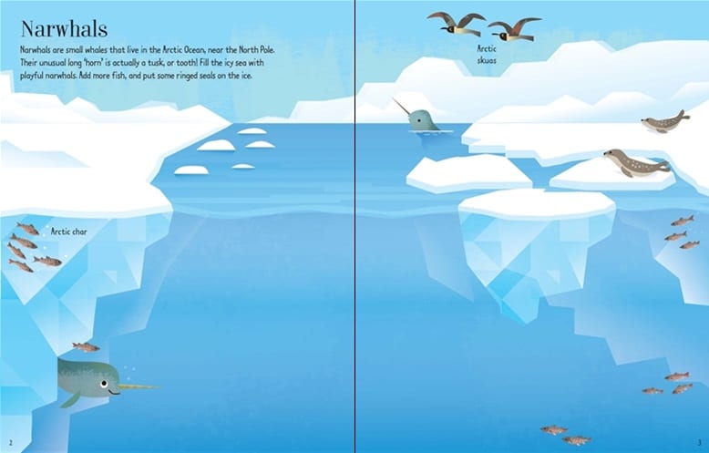 First Sticker Book Narwhals by Usborne 1