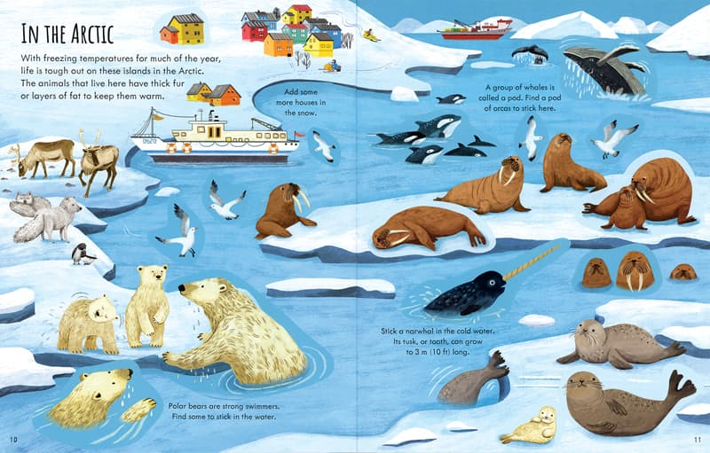 First Sticker Book Planet Eart by Usborne 2