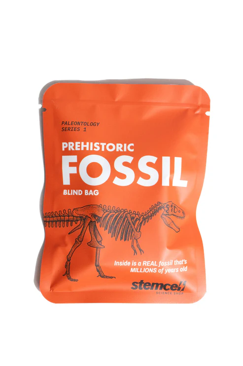 Fossil Blind Bag-by-Stemcell Science