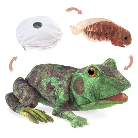 Frog Life Cycle Hand Puppet-by-Folkmanis