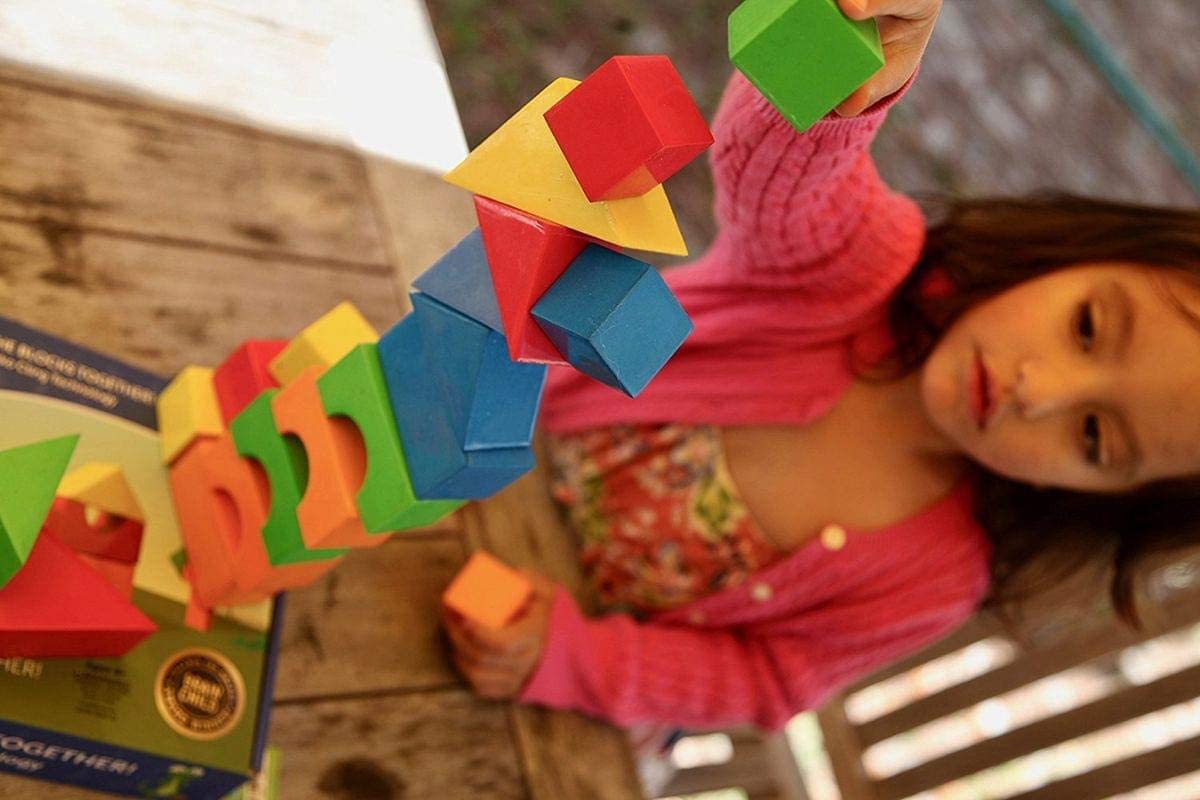 Gecko Blocks by Cassidy Labs 2