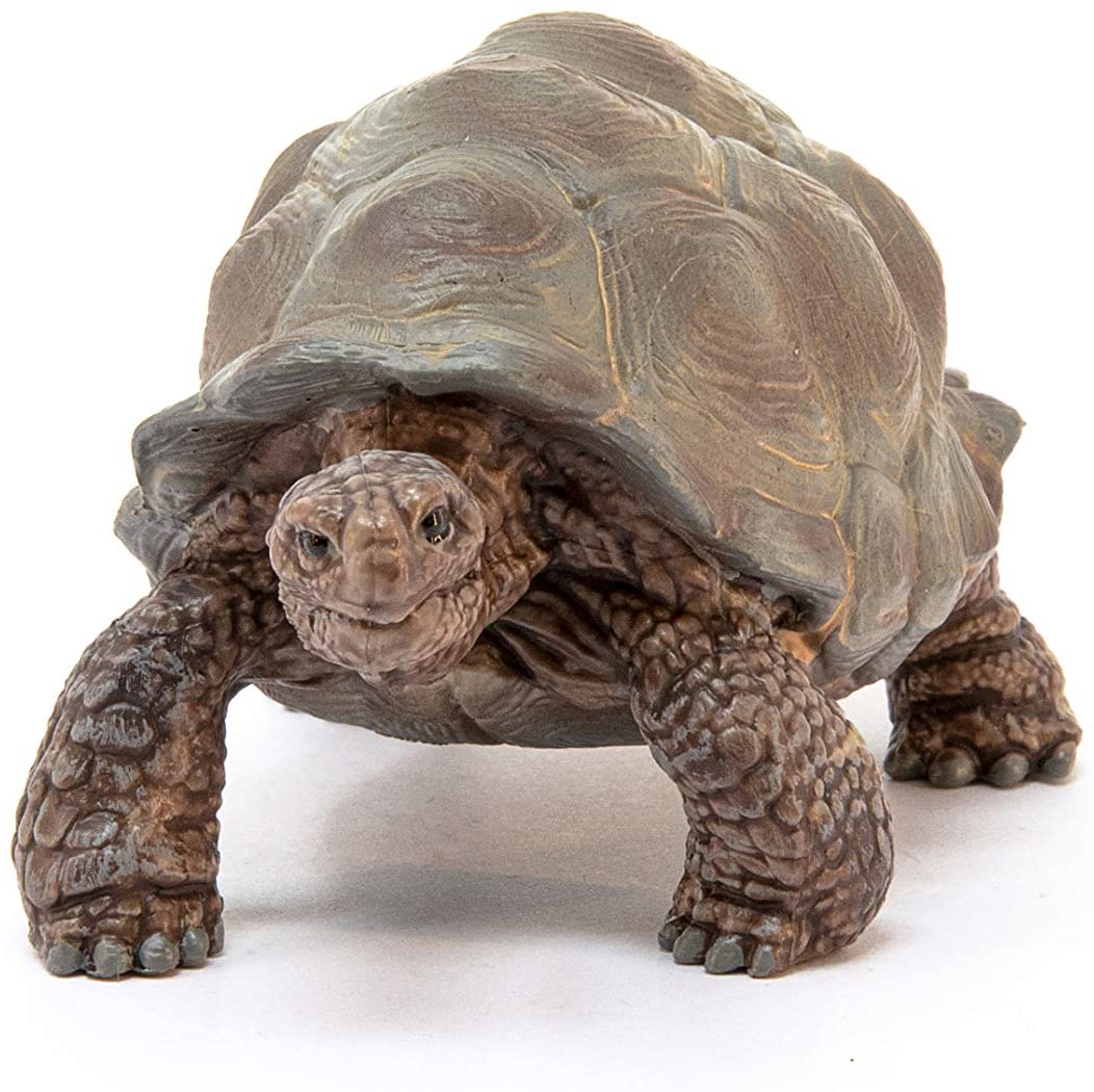 Giant Tortoise Figure by Schleich 1