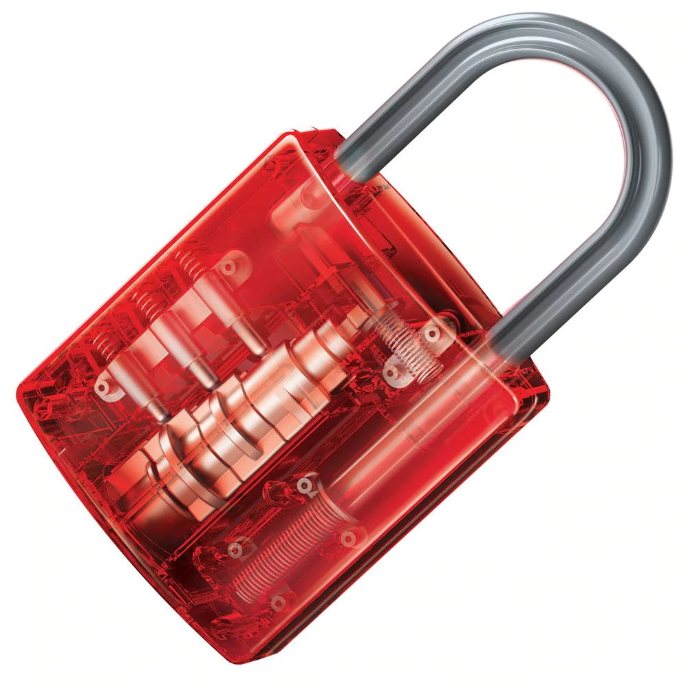 Giant Visible Padlock by Toysmith 1