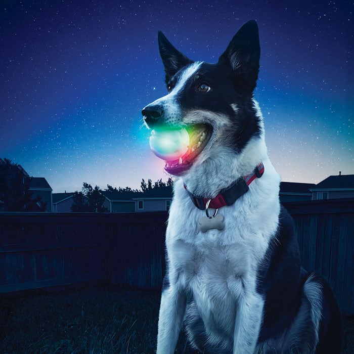 Glowstreak LED Ball for Dogs by Niteize