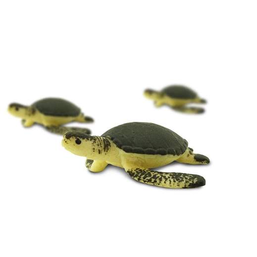 Good Luck Mini Sea Turtles by Safari 2