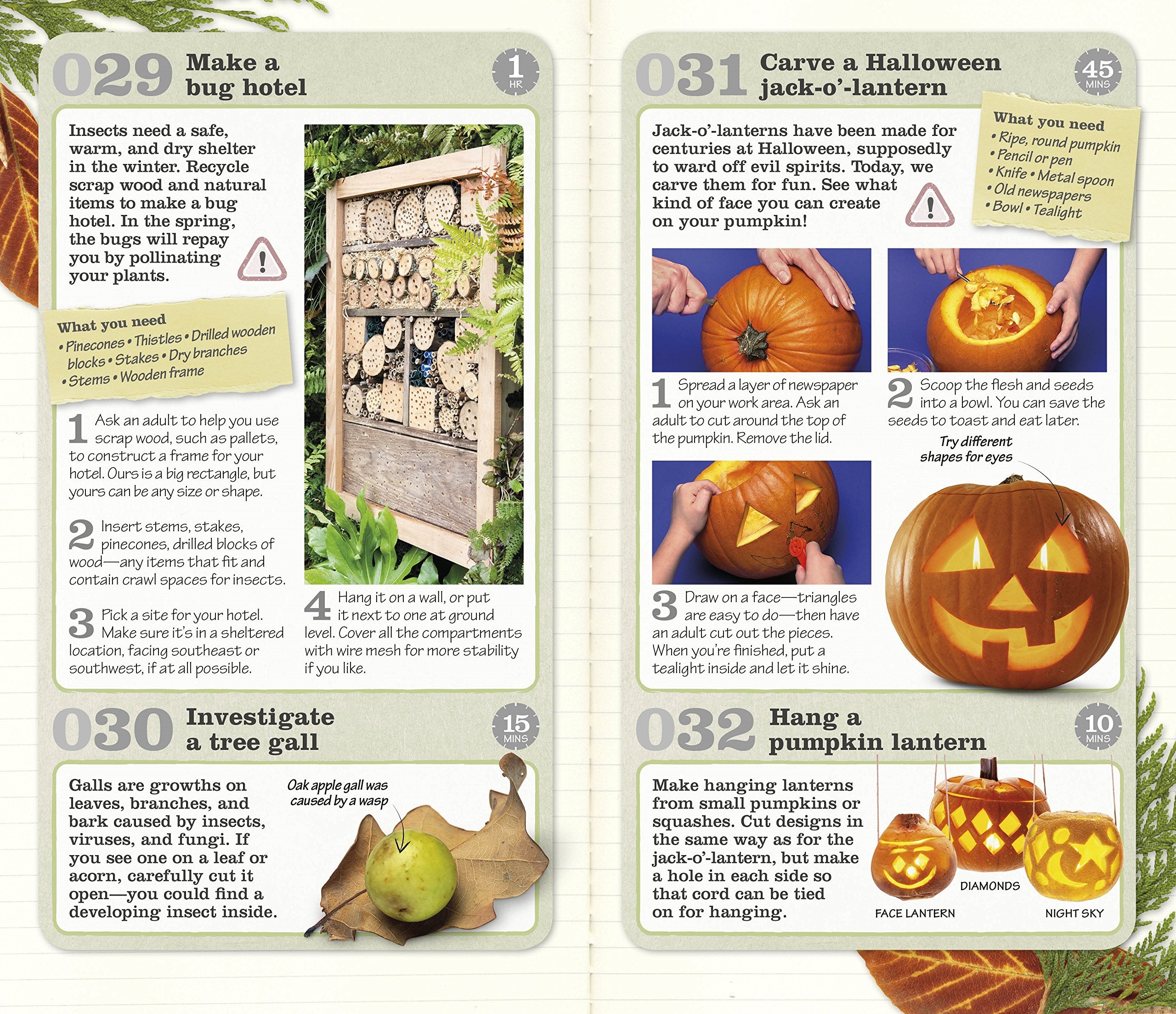 Great Things to Do Outside by Dorling Kindersley 2